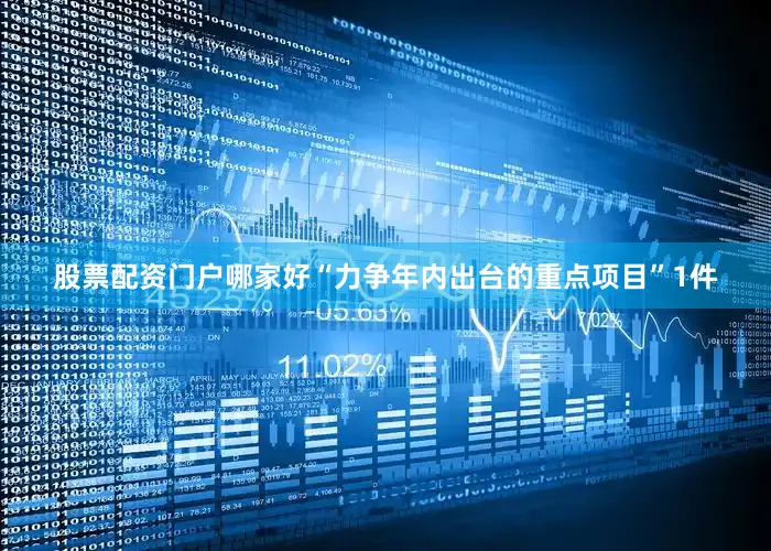 股票配资门户哪家好“力争年内出台的重点项目”1件