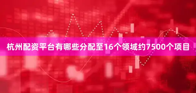 杭州配资平台有哪些分配至16个领域约7500个项目