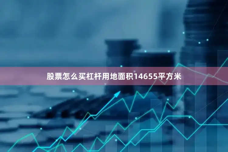 股票怎么买杠杆用地面积14655平方米