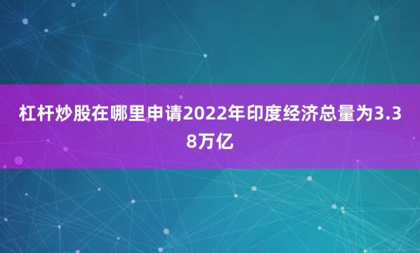 杠杆炒股在哪里申请2022年印度经济总量为3.38万亿